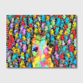 Альбом для рисования с принтом Котики на дискотеке в Санкт-Петербурге, 100% бумага
 | матовая бумага, плотность 200 мг. | Тематика изображения на принте: кошки | паттерн | психоделика | разноцветный | яркий