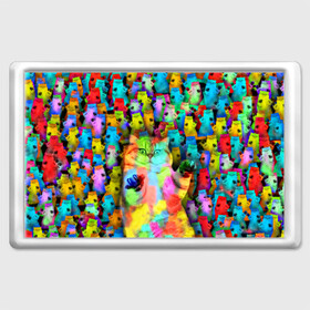Магнит 45*70 с принтом Котики на дискотеке в Санкт-Петербурге, Пластик | Размер: 78*52 мм; Размер печати: 70*45 | Тематика изображения на принте: кошки | паттерн | психоделика | разноцветный | яркий