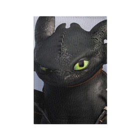 Обложка для паспорта матовая кожа с принтом как приручить дракона в Санкт-Петербурге, натуральная матовая кожа | размер 19,3 х 13,7 см; прозрачные пластиковые крепления | Тематика изображения на принте: how to train your dragon | беззубик | дракон | как приручить дракона | ночная фурия