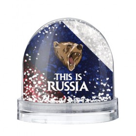 Водяной шар с принтом Roaring Bear в Санкт-Петербурге, Пластик | Изображение внутри шара печатается на глянцевой фотобумаге с двух сторон | 
