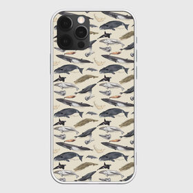 Чехол для iPhone 12 Pro Max с принтом Whales pattern в Санкт-Петербурге, Силикон |  | whale | акула | горбач | касатка | кашалот | кит | море | океан | рыбы | синий кит