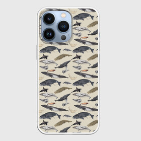 Чехол для iPhone 13 Pro с принтом Whales pattern в Санкт-Петербурге,  |  | whale | акула | горбач | касатка | кашалот | кит | море | океан | рыбы | синий кит