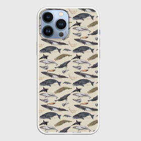 Чехол для iPhone 13 Pro Max с принтом Whales pattern в Санкт-Петербурге,  |  | whale | акула | горбач | касатка | кашалот | кит | море | океан | рыбы | синий кит