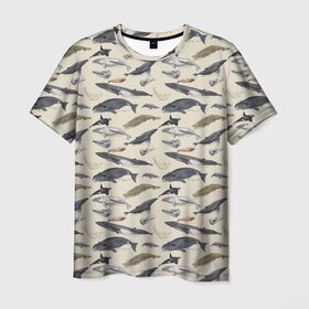 Мужская футболка 3D с принтом Whales pattern в Санкт-Петербурге, 100% полиэфир | прямой крой, круглый вырез горловины, длина до линии бедер | whale | акула | горбач | касатка | кашалот | кит | море | океан | рыбы | синий кит