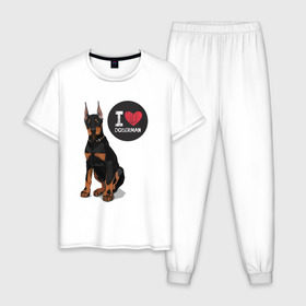Мужская пижама хлопок с принтом Я люблю Добермана в Санкт-Петербурге, 100% хлопок | брюки и футболка прямого кроя, без карманов, на брюках мягкая резинка на поясе и по низу штанин
 | доберман | с доберманом | собака | собаки | собачки | я люблю