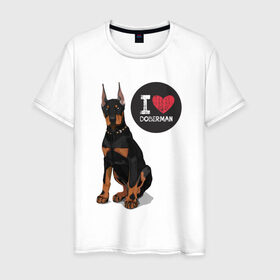 Мужская футболка хлопок с принтом Я люблю Добермана в Санкт-Петербурге, 100% хлопок | прямой крой, круглый вырез горловины, длина до линии бедер, слегка спущенное плечо. | Тематика изображения на принте: доберман | с доберманом | собака | собаки | собачки | я люблю