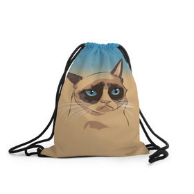 Рюкзак-мешок 3D с принтом Grumpy cat ART в Санкт-Петербурге, 100% полиэстер | плотность ткани — 200 г/м2, размер — 35 х 45 см; лямки — толстые шнурки, застежка на шнуровке, без карманов и подкладки | cat | grumpy | грустный кот | киса | кот | котэ | котяра | кошка | мем | сердитый кот