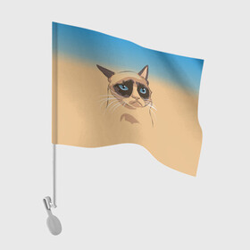 Флаг для автомобиля с принтом Grumpy cat ART в Санкт-Петербурге, 100% полиэстер | Размер: 30*21 см | cat | grumpy | грустный кот | киса | кот | котэ | котяра | кошка | мем | сердитый кот