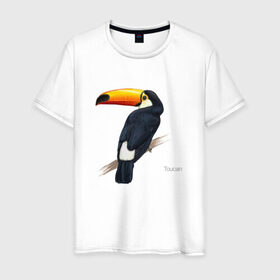 Мужская футболка хлопок с принтом Тукан в Санкт-Петербурге, 100% хлопок | прямой крой, круглый вырез горловины, длина до линии бедер, слегка спущенное плечо. | птица | птицы | с птицей | тукан | экзотика
