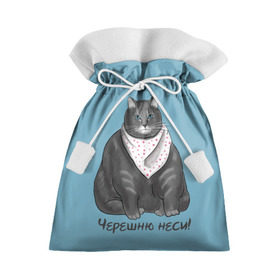 Подарочный 3D мешок с принтом Черешню неси! в Санкт-Петербурге, 100% полиэстер | Размер: 29*39 см | еда | кот | кушать | мем | черешня