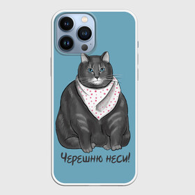 Чехол для iPhone 13 Pro Max с принтом Черешню неси в Санкт-Петербурге,  |  | Тематика изображения на принте: еда | кот | кушать | мем | черешня