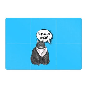 Магнитный плакат 3Х2 с принтом Толстый кот в Санкт-Петербурге, Полимерный материал с магнитным слоем | 6 деталей размером 9*9 см | еда | кот | кушать | мем | черешня