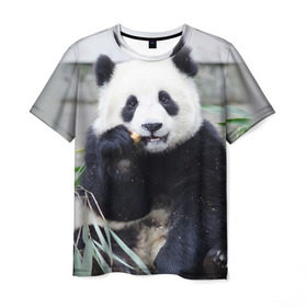 Мужская футболка 3D с принтом Большая панда в Санкт-Петербурге, 100% полиэфир | прямой крой, круглый вырез горловины, длина до линии бедер | бамбук | белый | джунгли | дикое | животное | китай | лес | медведь | черный