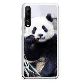 Чехол для Honor P30 с принтом Большая панда в Санкт-Петербурге, Силикон | Область печати: задняя сторона чехла, без боковых панелей | бамбук | белый | джунгли | дикое | животное | китай | лес | медведь | черный