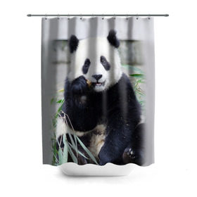 Штора 3D для ванной с принтом Большая панда в Санкт-Петербурге, 100% полиэстер | плотность материала — 100 г/м2. Стандартный размер — 146 см х 180 см. По верхнему краю — пластиковые люверсы для креплений. В комплекте 10 пластиковых колец | бамбук | белый | джунгли | дикое | животное | китай | лес | медведь | черный