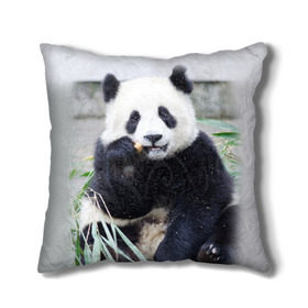 Подушка 3D с принтом Большая панда в Санкт-Петербурге, наволочка – 100% полиэстер, наполнитель – холлофайбер (легкий наполнитель, не вызывает аллергию). | состоит из подушки и наволочки. Наволочка на молнии, легко снимается для стирки | Тематика изображения на принте: бамбук | белый | джунгли | дикое | животное | китай | лес | медведь | черный