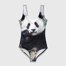 Купальник-боди 3D с принтом Большая панда в Санкт-Петербурге, 82% полиэстер, 18% эластан | Круглая горловина, круглый вырез на спине | бамбук | белый | джунгли | дикое | животное | китай | лес | медведь | черный