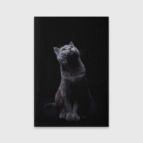 Обложка для паспорта матовая кожа с принтом Милый котик в Санкт-Петербурге, натуральная матовая кожа | размер 19,3 х 13,7 см; прозрачные пластиковые крепления | Тематика изображения на принте: кот | котенок | кошка | милый | пушистый | черный