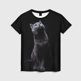 Женская футболка 3D с принтом Милый котик в Санкт-Петербурге, 100% полиэфир ( синтетическое хлопкоподобное полотно) | прямой крой, круглый вырез горловины, длина до линии бедер | кот | котенок | кошка | милый | пушистый | черный