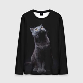 Мужской лонгслив 3D с принтом Милый котик в Санкт-Петербурге, 100% полиэстер | длинные рукава, круглый вырез горловины, полуприлегающий силуэт | кот | котенок | кошка | милый | пушистый | черный