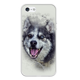 Чехол для iPhone 5/5S матовый с принтом Хаска в Санкт-Петербурге, Силикон | Область печати: задняя сторона чехла, без боковых панелей | животные | пес | собака | хаска