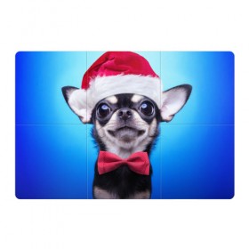 Магнитный плакат 3Х2 с принтом рождество в Санкт-Петербурге, Полимерный материал с магнитным слоем | 6 деталей размером 9*9 см | Тематика изображения на принте: dog | happy new year | бантик | взгляд | глаза | новый год | пинчер | праздник | санта клаус | собака | той терьер