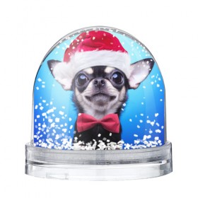 Водяной шар с принтом рождество в Санкт-Петербурге, Пластик | Изображение внутри шара печатается на глянцевой фотобумаге с двух сторон | dog | happy new year | бантик | взгляд | глаза | новый год | пинчер | праздник | санта клаус | собака | той терьер