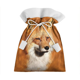 Подарочный 3D мешок с принтом Лисичка в Санкт-Петербурге, 100% полиэстер | Размер: 29*39 см | животные | зверь | лиса | лисичка | природа | рыжая | фыр