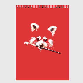 Скетчбук с принтом Красная панда в Санкт-Петербурге, 100% бумага
 | 48 листов, плотность листов — 100 г/м2, плотность картонной обложки — 250 г/м2. Листы скреплены сверху удобной пружинной спиралью | Тематика изображения на принте: енот | кисть | лиса | малая панда | художник