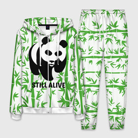 Мужской костюм 3D с принтом Still Alive в Санкт-Петербурге, 100% полиэстер | Манжеты и пояс оформлены тканевой резинкой, двухслойный капюшон со шнурком для регулировки, карманы спереди | alive | bamboo | green | greenpeace | panga | peace | still | бамбук | грин | гринпис | живая | живой | зеленый | мир | панда | панды | пис