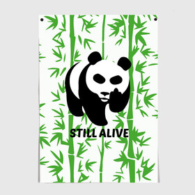 Постер с принтом Still Alive в Санкт-Петербурге, 100% бумага
 | бумага, плотность 150 мг. Матовая, но за счет высокого коэффициента гладкости имеет небольшой блеск и дает на свету блики, но в отличии от глянцевой бумаги не покрыта лаком | alive | bamboo | green | greenpeace | panga | peace | still | бамбук | грин | гринпис | живая | живой | зеленый | мир | панда | панды | пис