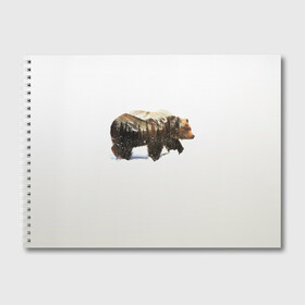 Альбом для рисования с принтом Лесной Медведь в Санкт-Петербурге, 100% бумага
 | матовая бумага, плотность 200 мг. | bear | bears | forest | snow | tree | trees | winter | гора | горы | деревья | зима | лес | лесной | медведи | медведь | мишка | мишки | снег