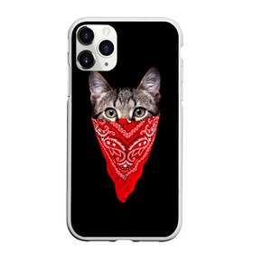 Чехол для iPhone 11 Pro Max матовый с принтом Gangsta Cat в Санкт-Петербурге, Силикон |  | Тематика изображения на принте: cat | cats | gangsta | kitten | kitty | pussy | гангстер | кот | котенок | котик | котики | коты | котята | кошка | кошки | платок