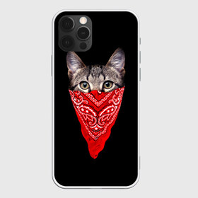 Чехол для iPhone 12 Pro Max с принтом Gangsta Cat в Санкт-Петербурге, Силикон |  | cat | cats | gangsta | kitten | kitty | pussy | гангстер | кот | котенок | котик | котики | коты | котята | кошка | кошки | платок