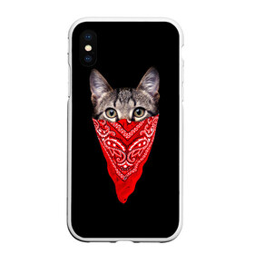 Чехол для iPhone XS Max матовый с принтом Gangsta Cat в Санкт-Петербурге, Силикон | Область печати: задняя сторона чехла, без боковых панелей | cat | cats | gangsta | kitten | kitty | pussy | гангстер | кот | котенок | котик | котики | коты | котята | кошка | кошки | платок