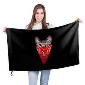Флаг 3D с принтом Gangsta Cat в Санкт-Петербурге, 100% полиэстер | плотность ткани — 95 г/м2, размер — 67 х 109 см. Принт наносится с одной стороны | cat | cats | gangsta | kitten | kitty | pussy | гангстер | кот | котенок | котик | котики | коты | котята | кошка | кошки | платок