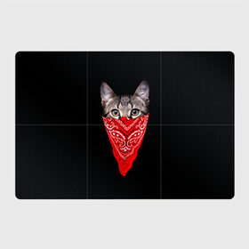 Магнитный плакат 3Х2 с принтом Gangsta Cat в Санкт-Петербурге, Полимерный материал с магнитным слоем | 6 деталей размером 9*9 см | cat | cats | gangsta | kitten | kitty | pussy | гангстер | кот | котенок | котик | котики | коты | котята | кошка | кошки | платок
