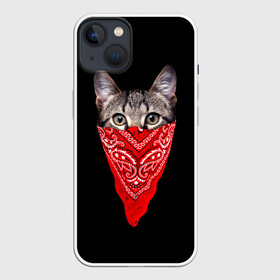 Чехол для iPhone 13 с принтом Gangsta Cat в Санкт-Петербурге,  |  | cat | cats | gangsta | kitten | kitty | pussy | гангстер | кот | котенок | котик | котики | коты | котята | кошка | кошки | платок