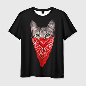 Мужская футболка 3D с принтом Gangsta Cat в Санкт-Петербурге, 100% полиэфир | прямой крой, круглый вырез горловины, длина до линии бедер | Тематика изображения на принте: cat | cats | gangsta | kitten | kitty | pussy | гангстер | кот | котенок | котик | котики | коты | котята | кошка | кошки | платок