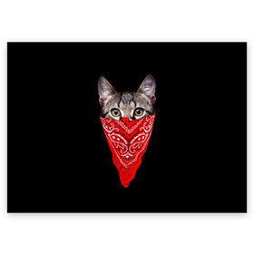 Поздравительная открытка с принтом Gangsta Cat в Санкт-Петербурге, 100% бумага | плотность бумаги 280 г/м2, матовая, на обратной стороне линовка и место для марки
 | Тематика изображения на принте: cat | cats | gangsta | kitten | kitty | pussy | гангстер | кот | котенок | котик | котики | коты | котята | кошка | кошки | платок