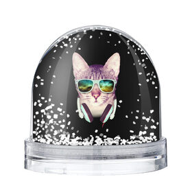 Водяной шар с принтом Кот в Наушниках в Санкт-Петербурге, Пластик | Изображение внутри шара печатается на глянцевой фотобумаге с двух сторон | cat | cats | kitten | kitty | pussy | диджей | кот | котенок | котик | котики | коты | котята | кошка | кошки | наушники | очки