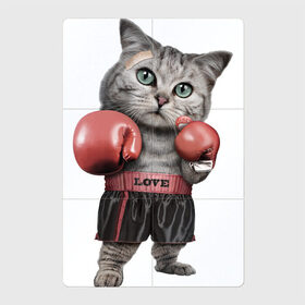 Магнитный плакат 2Х3 с принтом Кот боксёр в Санкт-Петербурге, Полимерный материал с магнитным слоем | 6 деталей размером 9*9 см | боец | бокс | боксёр | кот | котёнок | кошак | кошка | кулак | спорт | шорты