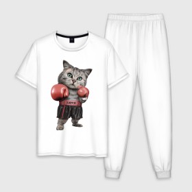 Мужская пижама хлопок с принтом Кот боксёр в Санкт-Петербурге, 100% хлопок | брюки и футболка прямого кроя, без карманов, на брюках мягкая резинка на поясе и по низу штанин
 | Тематика изображения на принте: боец | бокс | боксёр | кот | котёнок | кошак | кошка | кулак | спорт | шорты