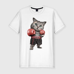 Мужская футболка премиум с принтом Кот боксёр в Санкт-Петербурге, 92% хлопок, 8% лайкра | приталенный силуэт, круглый вырез ворота, длина до линии бедра, короткий рукав | боец | бокс | боксёр | кот | котёнок | кошак | кошка | кулак | спорт | шорты
