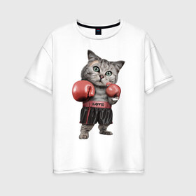 Женская футболка хлопок Oversize с принтом Кот боксёр в Санкт-Петербурге, 100% хлопок | свободный крой, круглый ворот, спущенный рукав, длина до линии бедер
 | боец | бокс | боксёр | кот | котёнок | кошак | кошка | кулак | спорт | шорты