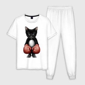 Мужская пижама хлопок с принтом Котёнок боксёр в Санкт-Петербурге, 100% хлопок | брюки и футболка прямого кроя, без карманов, на брюках мягкая резинка на поясе и по низу штанин
 | Тематика изображения на принте: боец | бокс | боксёр | кот | котёнок | кошак | кошка | кулак | спорт | шорты
