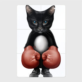Магнитный плакат 2Х3 с принтом Котёнок боксёр в Санкт-Петербурге, Полимерный материал с магнитным слоем | 6 деталей размером 9*9 см | боец | бокс | боксёр | кот | котёнок | кошак | кошка | кулак | спорт | шорты