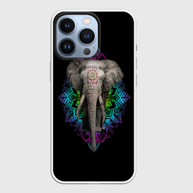 Чехол для iPhone 13 Pro с принтом Индийский Слон в Санкт-Петербурге,  |  | africa | elephant | elephants | india | ornament | pattern | skin | tusks | африка | бивни | индия | кожа | орнамент | слон | слоненок | слоник | слоники | слоны | слонята | узор | хобот
