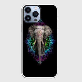 Чехол для iPhone 13 Pro Max с принтом Индийский Слон в Санкт-Петербурге,  |  | africa | elephant | elephants | india | ornament | pattern | skin | tusks | африка | бивни | индия | кожа | орнамент | слон | слоненок | слоник | слоники | слоны | слонята | узор | хобот