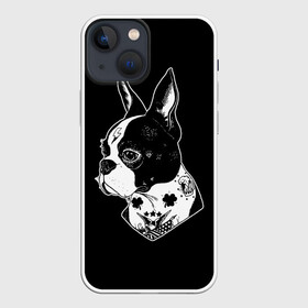 Чехол для iPhone 13 mini с принтом Французский Бульдог в Санкт-Петербурге,  |  | bulldog | dog | dogs | franch | бульдог | пес | псы | собака | собакен | собаки | собачка | собачки | французский | щенки | щенок | щеночек | щеночки